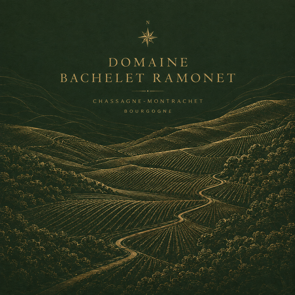 Domaine Bachelet Ramonet