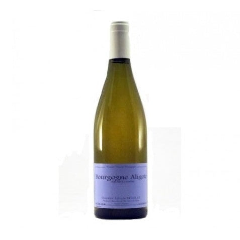 PATAILLE Sylvain BOURGOGNE ALIGOTE WHITE